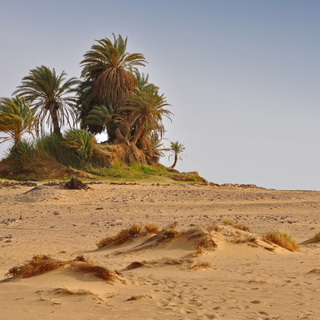 Ain el-Serw